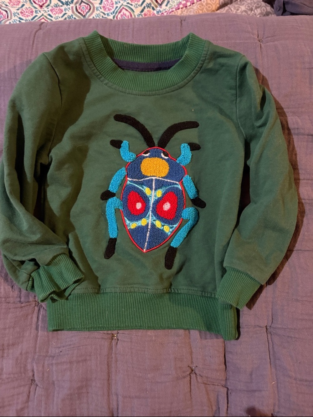 Kids Green Sweatshirt with Colorful Bug Applique